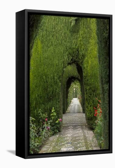 Granada, Spain, Alhambra, Famous Hedges of Gardens of the Generalife-Bill Bachmann-Framed Stretched Canvas