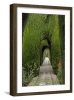 Granada, Spain, Alhambra, Famous Hedges of Gardens of the Generalife-Bill Bachmann-Framed Photographic Print