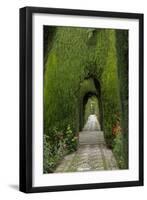 Granada, Spain, Alhambra, Famous Hedges of Gardens of the Generalife-Bill Bachmann-Framed Photographic Print