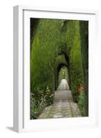 Granada, Spain, Alhambra, Famous Hedges of Gardens of the Generalife-Bill Bachmann-Framed Photographic Print