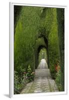 Granada, Spain, Alhambra, Famous Hedges of Gardens of the Generalife-Bill Bachmann-Framed Premium Photographic Print