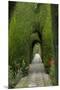 Granada, Spain, Alhambra, Famous Hedges of Gardens of the Generalife-Bill Bachmann-Mounted Premium Photographic Print