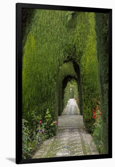 Granada, Spain, Alhambra, Famous Hedges of Gardens of the Generalife-Bill Bachmann-Framed Premium Photographic Print