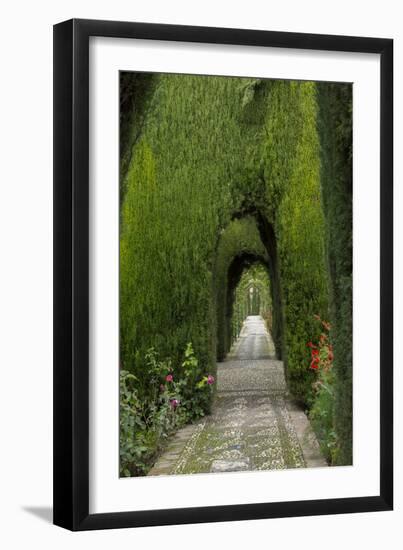 Granada, Spain, Alhambra, Famous Hedges of Gardens of the Generalife-Bill Bachmann-Framed Premium Photographic Print
