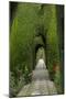 Granada, Spain, Alhambra, Famous Hedges of Gardens of the Generalife-Bill Bachmann-Mounted Premium Photographic Print