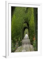 Granada, Spain, Alhambra, Famous Hedges of Gardens of the Generalife-Bill Bachmann-Framed Premium Photographic Print