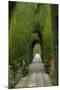 Granada, Spain, Alhambra, Famous Hedges of Gardens of the Generalife-Bill Bachmann-Mounted Premium Photographic Print