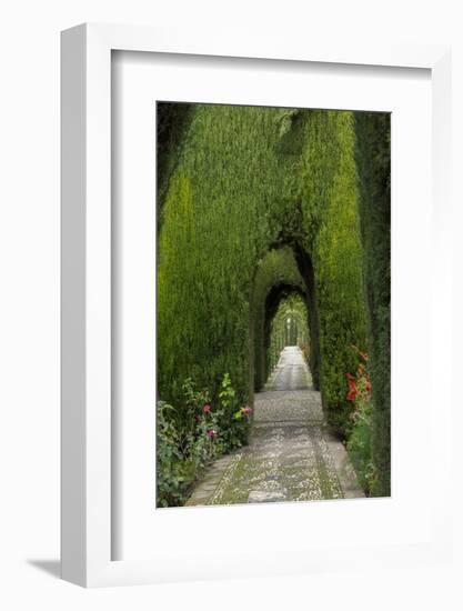 Granada, Spain, Alhambra, Famous Hedges of Gardens of the Generalife-Bill Bachmann-Framed Photographic Print