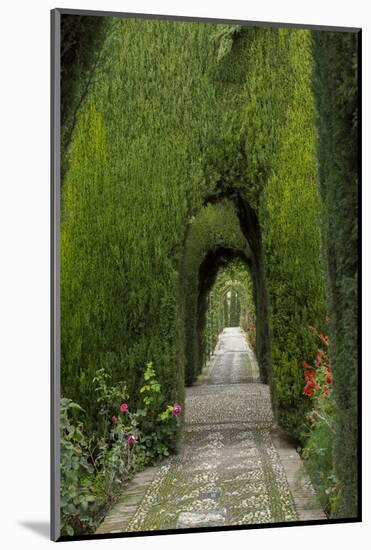 Granada, Spain, Alhambra, Famous Hedges of Gardens of the Generalife-Bill Bachmann-Mounted Photographic Print