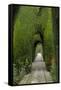 Granada, Spain, Alhambra, Famous Hedges of Gardens of the Generalife-Bill Bachmann-Framed Stretched Canvas