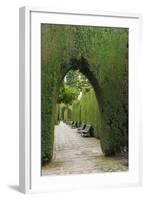 Granada, Spain, Alhambra, Famous Hedges of Gardens of the Generalife-Bill Bachmann-Framed Photographic Print