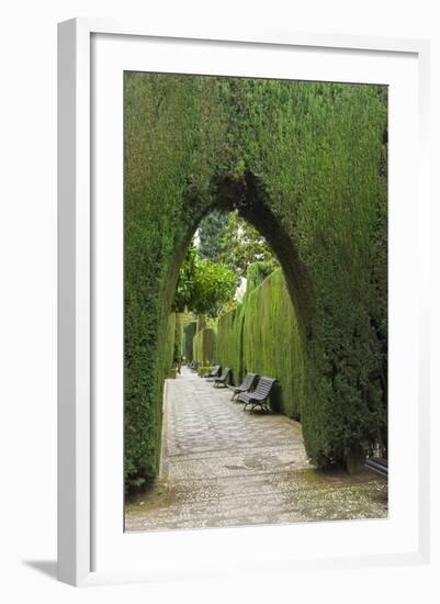 Granada, Spain, Alhambra, Famous Hedges of Gardens of the Generalife-Bill Bachmann-Framed Photographic Print