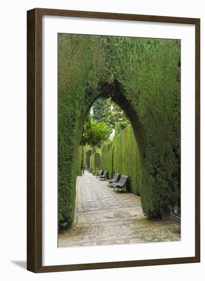 Granada, Spain, Alhambra, Famous Hedges of Gardens of the Generalife-Bill Bachmann-Framed Photographic Print