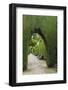 Granada, Spain, Alhambra, Famous Hedges of Gardens of the Generalife-Bill Bachmann-Framed Photographic Print