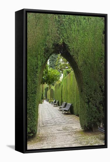 Granada, Spain, Alhambra, Famous Hedges of Gardens of the Generalife-Bill Bachmann-Framed Stretched Canvas
