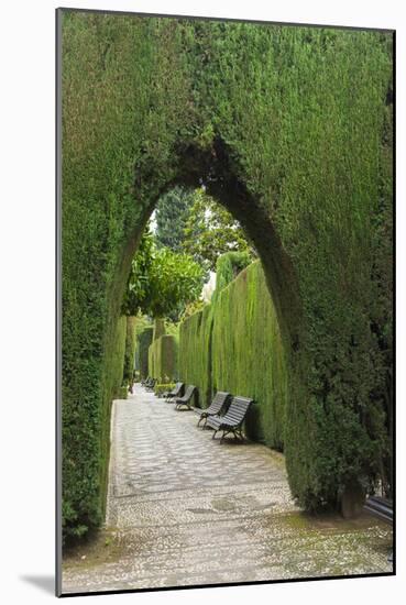 Granada, Spain, Alhambra, Famous Hedges of Gardens of the Generalife-Bill Bachmann-Mounted Photographic Print