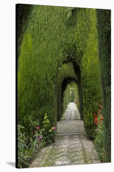 Granada, Spain, Alhambra, Famous Hedges of Gardens of the Generalife-Bill Bachmann-Stretched Canvas