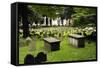 Granary Burial Grounds-katiesmithphotos-Framed Stretched Canvas