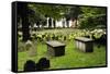 Granary Burial Grounds-katiesmithphotos-Framed Stretched Canvas