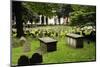 Granary Burial Grounds-katiesmithphotos-Mounted Photographic Print