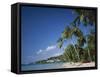 Grand Anse Beach, Grenada, Caribbean Islands-null-Framed Stretched Canvas
