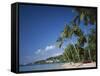 Grand Anse Beach, Grenada, Caribbean Islands-null-Framed Stretched Canvas