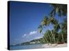 Grand Anse Beach, Grenada, Caribbean Islands-null-Stretched Canvas