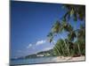 Grand Anse Beach, Grenada, Caribbean Islands-null-Mounted Photographic Print