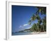 Grand Anse Beach, Grenada, Caribbean Islands-null-Framed Photographic Print