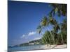 Grand Anse Beach, Grenada, Caribbean Islands-null-Mounted Photographic Print