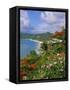 Grand Anse Beach, Grenada, Caribbean, West Indies-Robert Harding-Framed Stretched Canvas