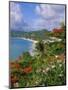 Grand Anse Beach, Grenada, Caribbean, West Indies-Robert Harding-Mounted Photographic Print