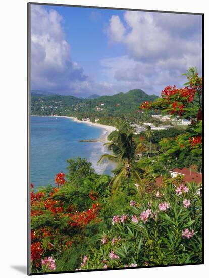 Grand Anse Beach, Grenada, Caribbean, West Indies-Robert Harding-Mounted Photographic Print