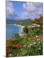 Grand Anse Beach, Grenada, Caribbean, West Indies-Robert Harding-Mounted Photographic Print