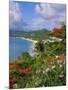 Grand Anse Beach, Grenada, Caribbean, West Indies-Robert Harding-Mounted Photographic Print