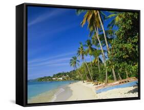 Grand Anse Beach, Grenada, Caribbean, West Indies-John Miller-Framed Stretched Canvas