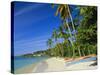 Grand Anse Beach, Grenada, Caribbean, West Indies-John Miller-Stretched Canvas