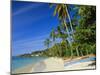 Grand Anse Beach, Grenada, Caribbean, West Indies-John Miller-Mounted Photographic Print