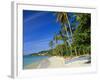 Grand Anse Beach, Grenada, Caribbean, West Indies-John Miller-Framed Photographic Print