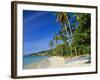 Grand Anse Beach, Grenada, Caribbean, West Indies-John Miller-Framed Photographic Print