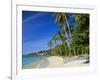 Grand Anse Beach, Grenada, Caribbean, West Indies-John Miller-Framed Photographic Print