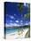 Grand Anse Beach, Grenada, Windward Islands, West Indies, Caribbean, Central America-John Miller-Stretched Canvas