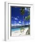 Grand Anse Beach, Grenada, Windward Islands, West Indies, Caribbean, Central America-John Miller-Framed Photographic Print