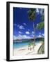 Grand Anse Beach, Grenada, Windward Islands, West Indies, Caribbean, Central America-John Miller-Framed Photographic Print