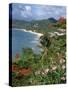 Grand Anse Beach, Grenada, Windward Islands, West Indies, Caribbean, Central America-Robert Harding-Stretched Canvas