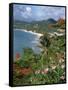 Grand Anse Beach, Grenada, Windward Islands, West Indies, Caribbean, Central America-Robert Harding-Framed Stretched Canvas