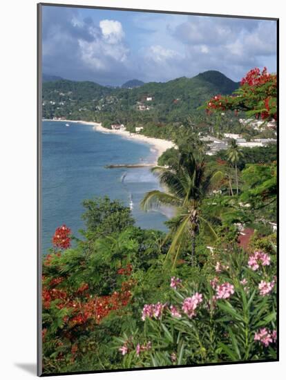 Grand Anse Beach, Grenada, Windward Islands, West Indies, Caribbean, Central America-Robert Harding-Mounted Photographic Print