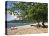 Grand Anse Beach, Grenada, Windward Islands, West Indies, Caribbean, Central America-Harding Robert-Stretched Canvas