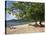 Grand Anse Beach, Grenada, Windward Islands, West Indies, Caribbean, Central America-Harding Robert-Stretched Canvas