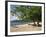 Grand Anse Beach, Grenada, Windward Islands, West Indies, Caribbean, Central America-Harding Robert-Framed Photographic Print